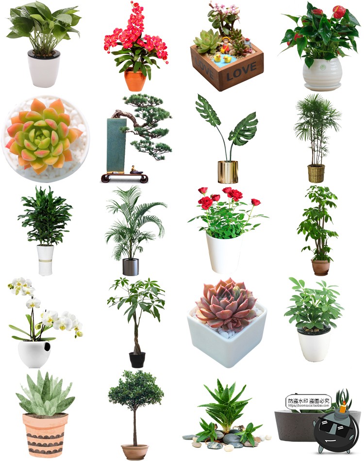 图片[9]-盆栽盆景景观绿植花草植物装饰摆件图片PNG免抠元素PS平面素材-设计猿
