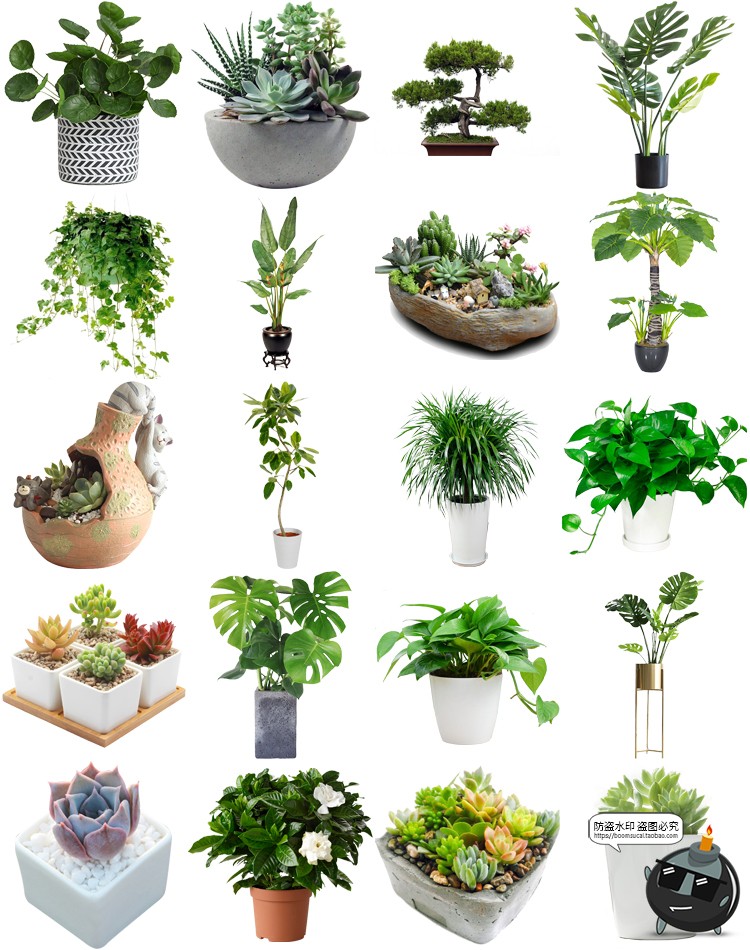 图片[10]-盆栽盆景景观绿植花草植物装饰摆件图片PNG免抠元素PS平面素材-设计猿