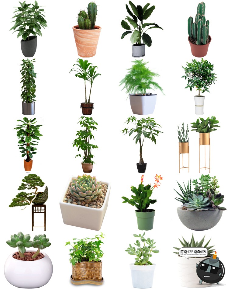 图片[11]-盆栽盆景景观绿植花草植物装饰摆件图片PNG免抠元素PS平面素材-设计猿