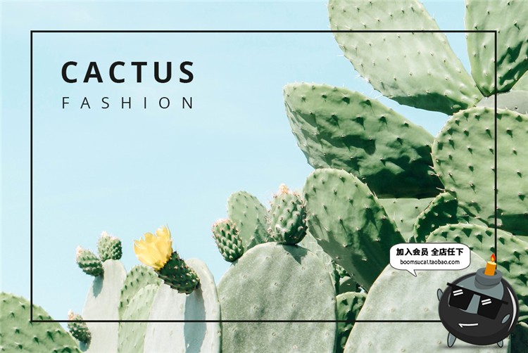 图片[3]-小清新简约植物卡片名片联系卡排版设计文艺PSD模板PS设计素材-设计猿