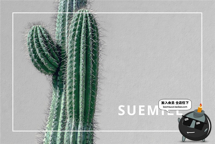 图片[4]-小清新简约植物卡片名片联系卡排版设计文艺PSD模板PS设计素材-设计猿