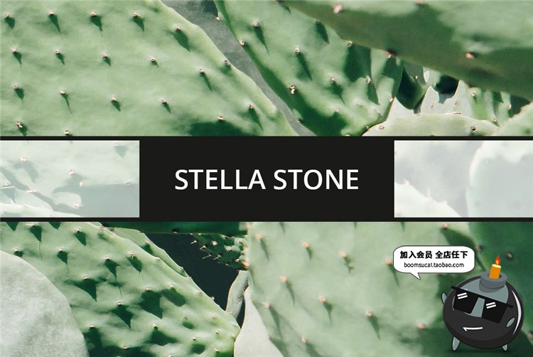 图片[5]-小清新简约植物卡片名片联系卡排版设计文艺PSD模板PS设计素材-设计猿