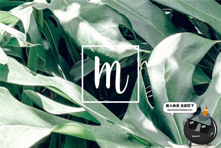 图片[19]-小清新简约植物卡片名片联系卡排版设计文艺PSD模板PS设计素材-设计猿