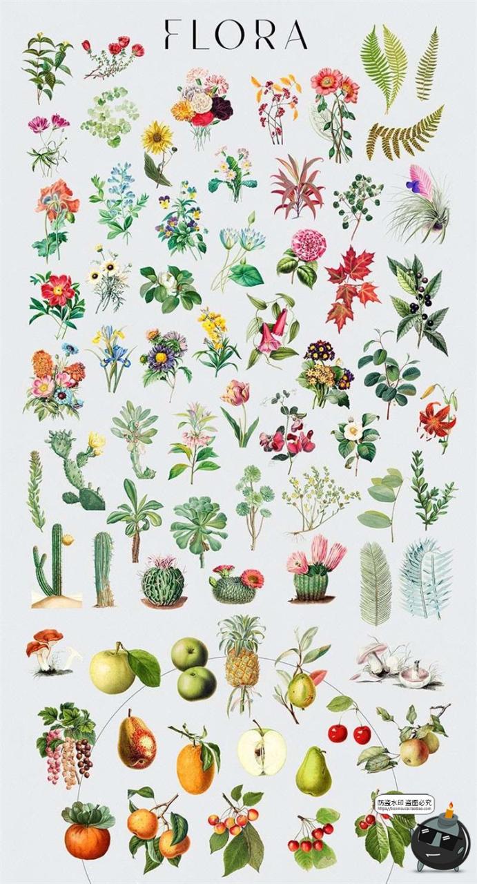 图片[3]-超现实梦幻拼贴手帐剪贴画动物鸟类建筑花朵景观物件PNG免抠素材-设计猿