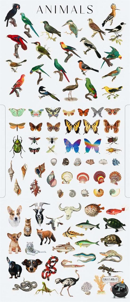 图片[6]-超现实梦幻拼贴手帐剪贴画动物鸟类建筑花朵景观物件PNG免抠素材-设计猿