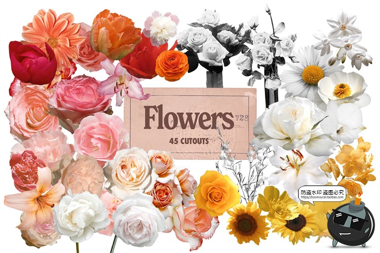 图片[10]-复古怀旧风老物件创意插画艺术拼贴剪切画元素PNG免抠装饰素材-设计猿