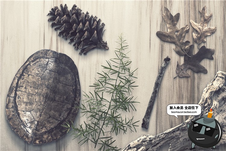 图片[15]-时光怀旧古董场景古老工作桌面物品焦点图元素PSD模板PS设计素材-设计猿