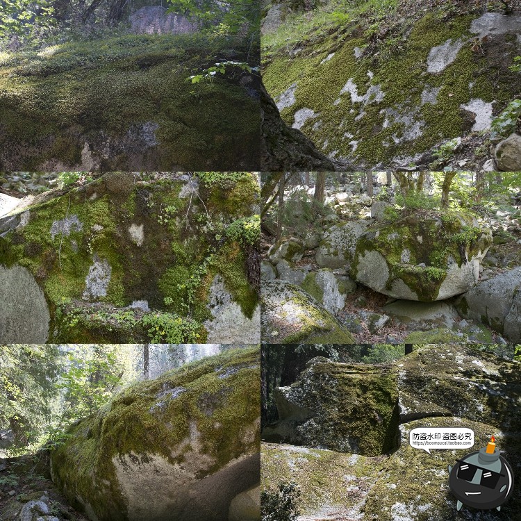 图片[1]-高清树林潮湿苔藓绿荫青苔植被湿气阴森场景后期合成JPG图片素材-设计猿