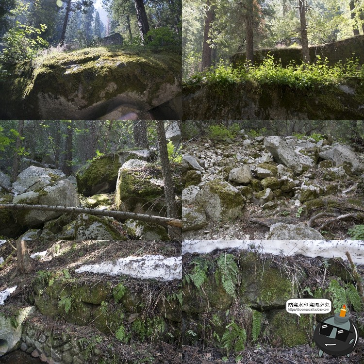 图片[2]-高清树林潮湿苔藓绿荫青苔植被湿气阴森场景后期合成JPG图片素材-设计猿