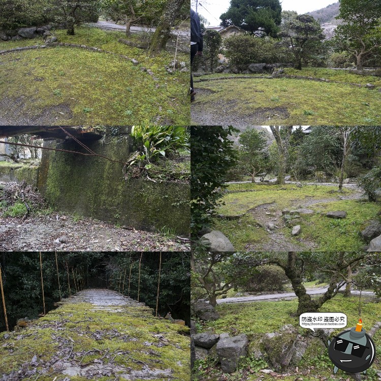 图片[4]-高清树林潮湿苔藓绿荫青苔植被湿气阴森场景后期合成JPG图片素材-设计猿