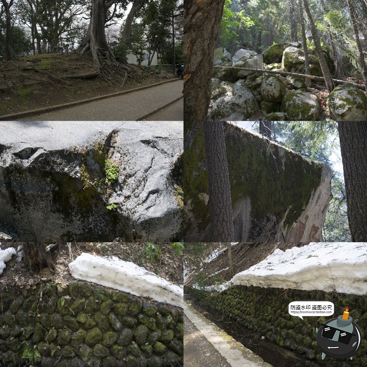 图片[5]-高清树林潮湿苔藓绿荫青苔植被湿气阴森场景后期合成JPG图片素材-设计猿