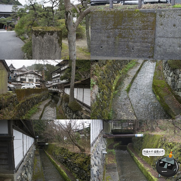 图片[7]-高清树林潮湿苔藓绿荫青苔植被湿气阴森场景后期合成JPG图片素材-设计猿