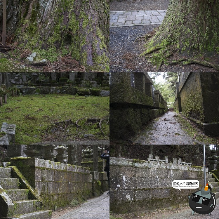 图片[9]-高清树林潮湿苔藓绿荫青苔植被湿气阴森场景后期合成JPG图片素材-设计猿