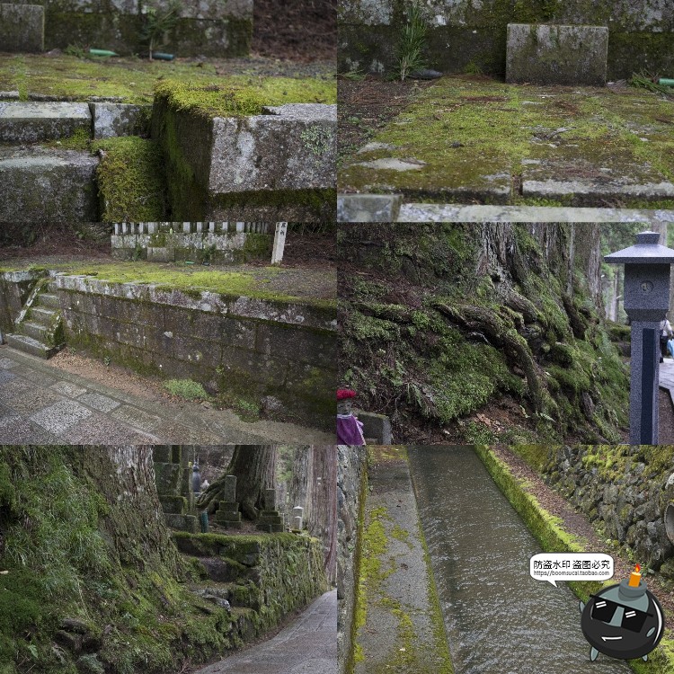 图片[11]-高清树林潮湿苔藓绿荫青苔植被湿气阴森场景后期合成JPG图片素材-设计猿