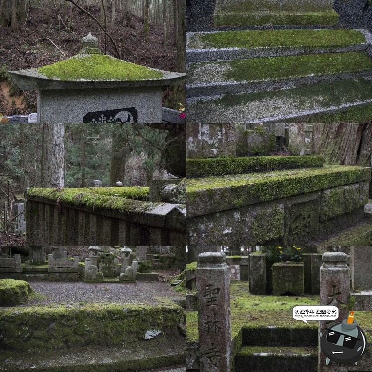 图片[13]-高清树林潮湿苔藓绿荫青苔植被湿气阴森场景后期合成JPG图片素材-设计猿