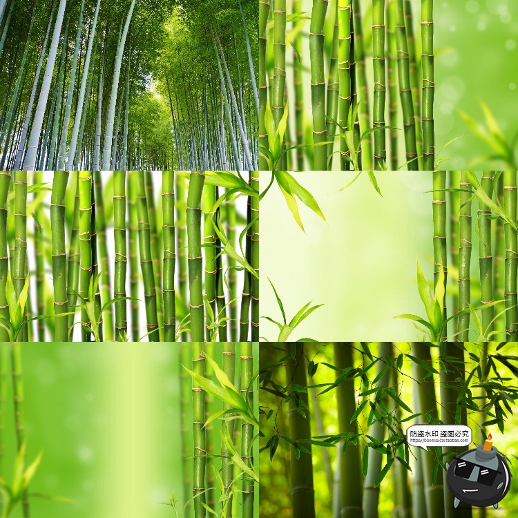 图片[11]-100款竹子树木绿色竹林背景自然风景场景后期合成高清JPG图片素材-设计猿