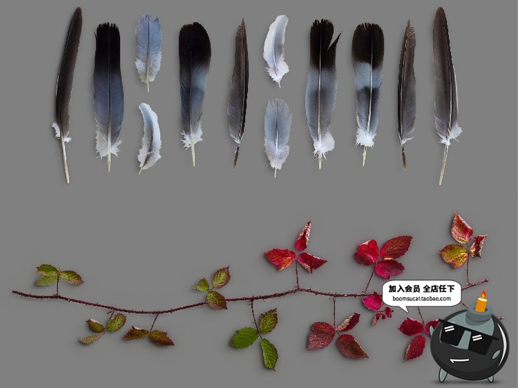 图片[3]-秋天秋季元素叶子金色枫叶树叶枯枝秋季海报背景PSD模板PS素材-设计猿