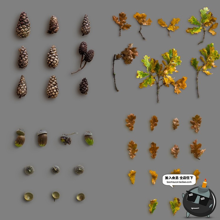 图片[4]-秋天秋季元素叶子金色枫叶树叶枯枝秋季海报背景PSD模板PS素材-设计猿