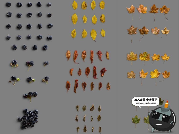 图片[6]-秋天秋季元素叶子金色枫叶树叶枯枝秋季海报背景PSD模板PS素材-设计猿