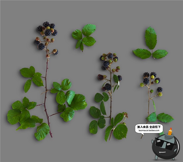 图片[8]-秋天秋季元素叶子金色枫叶树叶枯枝秋季海报背景PSD模板PS素材-设计猿