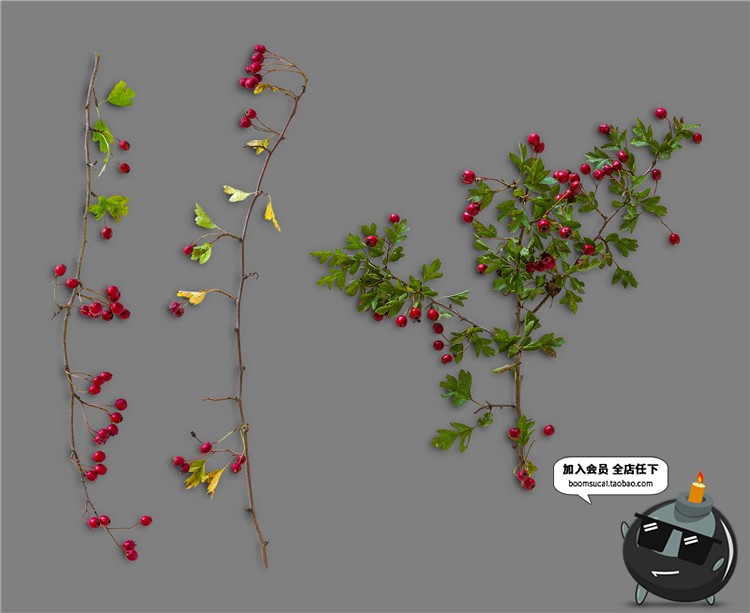 图片[9]-秋天秋季元素叶子金色枫叶树叶枯枝秋季海报背景PSD模板PS素材-设计猿