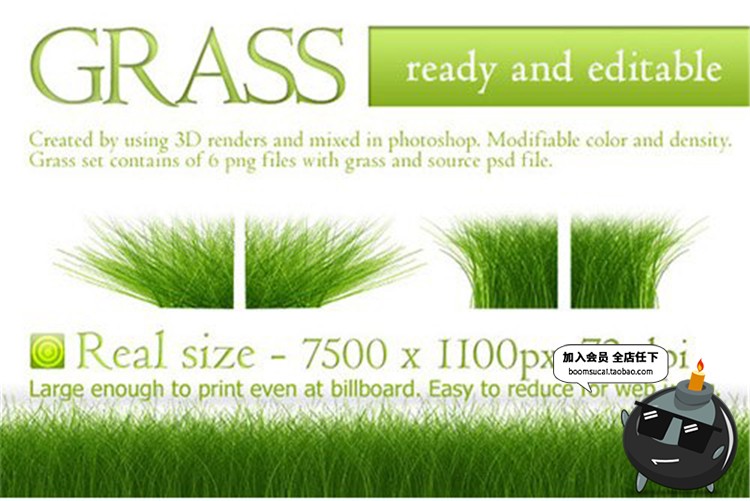 图片[4]-茂盛绿色草地茂密小草元素PNG免抠透明底装饰元素图片PS设计素材-设计猿