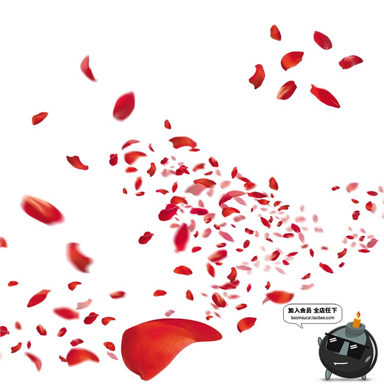 图片[5]-玫瑰花朵花瓣飘散落散花特效png高清免抠图psd婚纱照设计素材-设计猿
