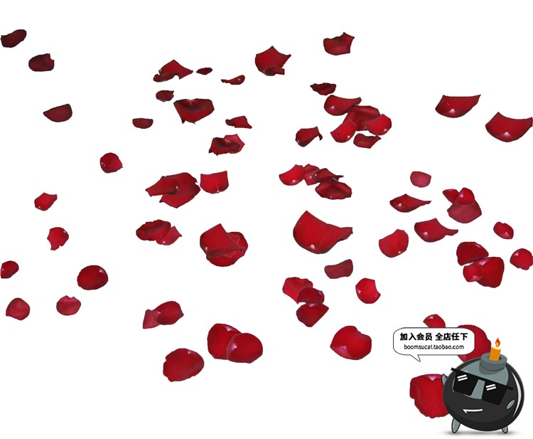 图片[11]-玫瑰花朵花瓣飘散落散花特效png高清免抠图psd婚纱照设计素材-设计猿