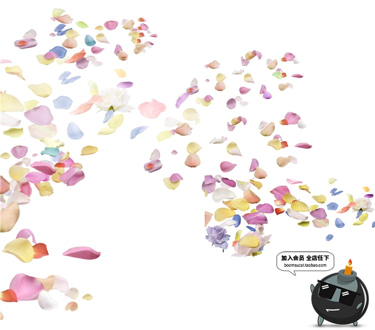 图片[17]-玫瑰花朵花瓣飘散落散花特效png高清免抠图psd婚纱照设计素材-设计猿