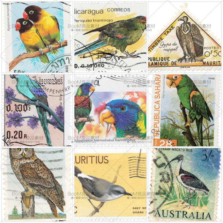 图片[1]-欧美复古明信片卡片油画鸟类鹦鹉邮戳PNG免抠图片高清PS设计素材-设计猿