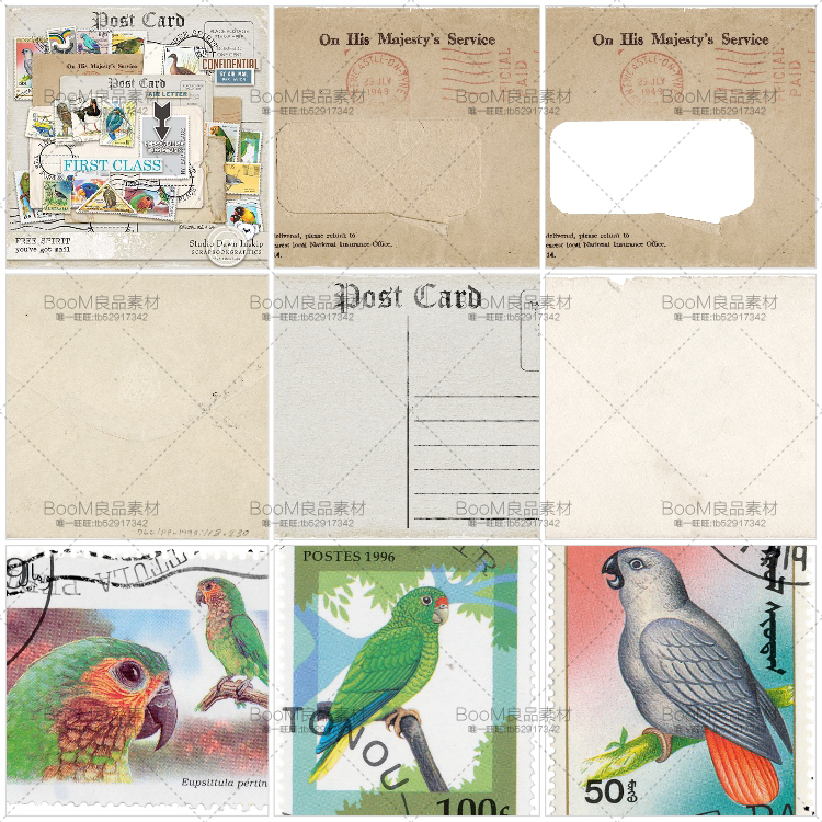 图片[2]-欧美复古明信片卡片油画鸟类鹦鹉邮戳PNG免抠图片高清PS设计素材-设计猿