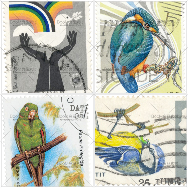 图片[3]-欧美复古明信片卡片油画鸟类鹦鹉邮戳PNG免抠图片高清PS设计素材-设计猿