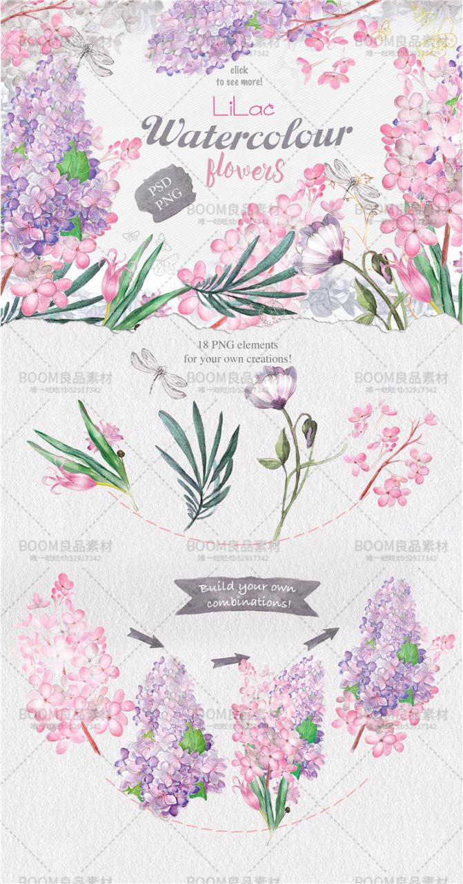 图片[1]-紫色薰衣草优雅唯美彩色手绘植物生日贺卡免扣PNG设计元素PS素材-设计猿