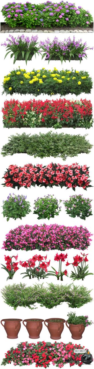 图片[1]-高清免抠植物灌木树木花卉花草盆栽乔木PSD模板源文件图片PS素材-设计猿