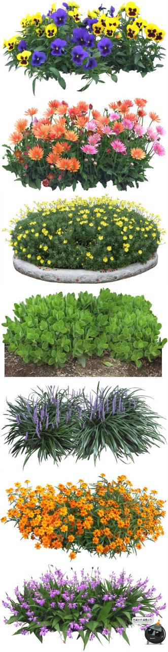 图片[3]-高清免抠植物灌木树木花卉花草盆栽乔木PSD模板源文件图片PS素材-设计猿