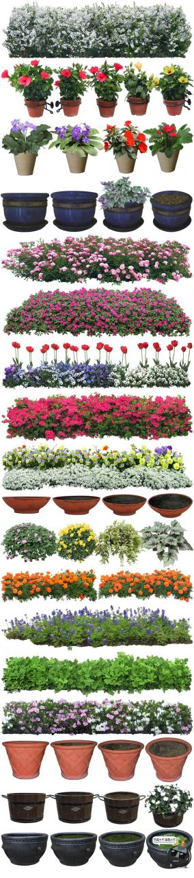 图片[4]-高清免抠植物灌木树木花卉花草盆栽乔木PSD模板源文件图片PS素材-设计猿