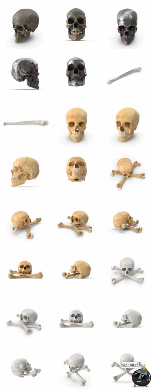 图片[6]-人体盆骨架骷髅枯骨骸头骨肋骨脊椎参考后期合成PSD模板PS素材-设计猿