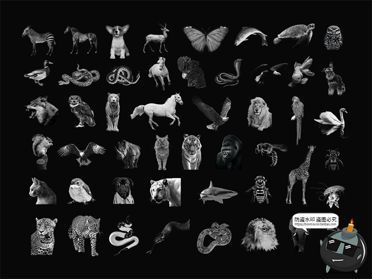 图片[2]-新复古黑白抽象酸性石膏艺术雕塑动物花卉PNG透明免抠剪贴画素材-设计猿