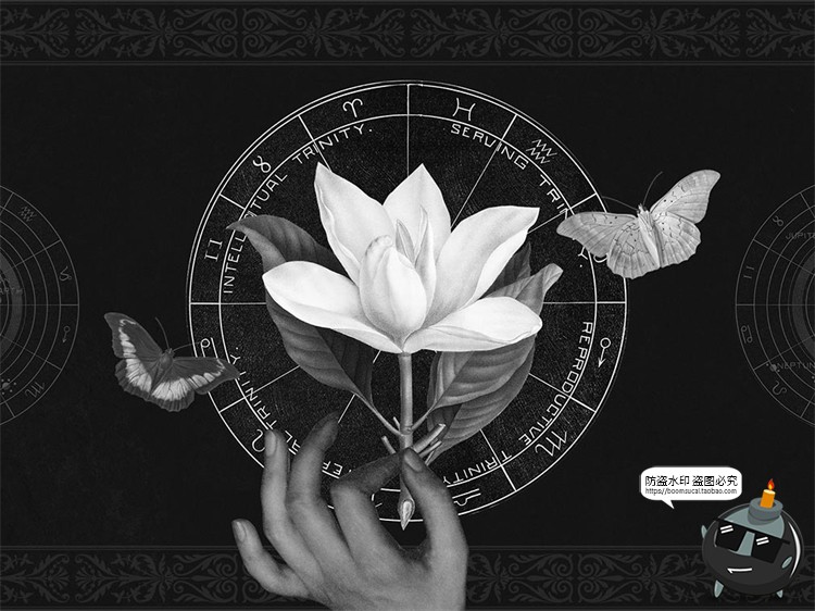 图片[11]-新复古黑白抽象酸性石膏艺术雕塑动物花卉PNG透明免抠剪贴画素材-设计猿