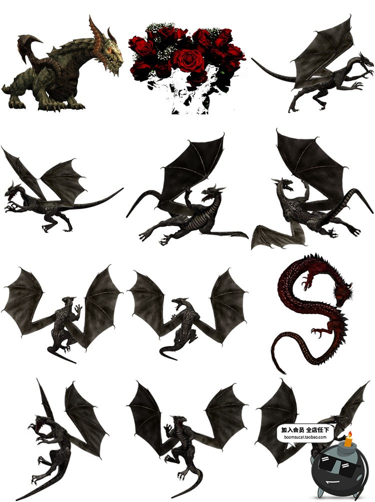 图片[4]-龙族PNG素材飞龙中国龙怪兽蛟龙图案透明背景PS免抠图PS高清大图-设计猿