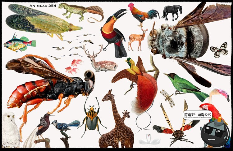 图片[4]-复古赛博朋克未来机能拼贴艺术人物酸性图形元素剪贴画PNG素材-设计猿