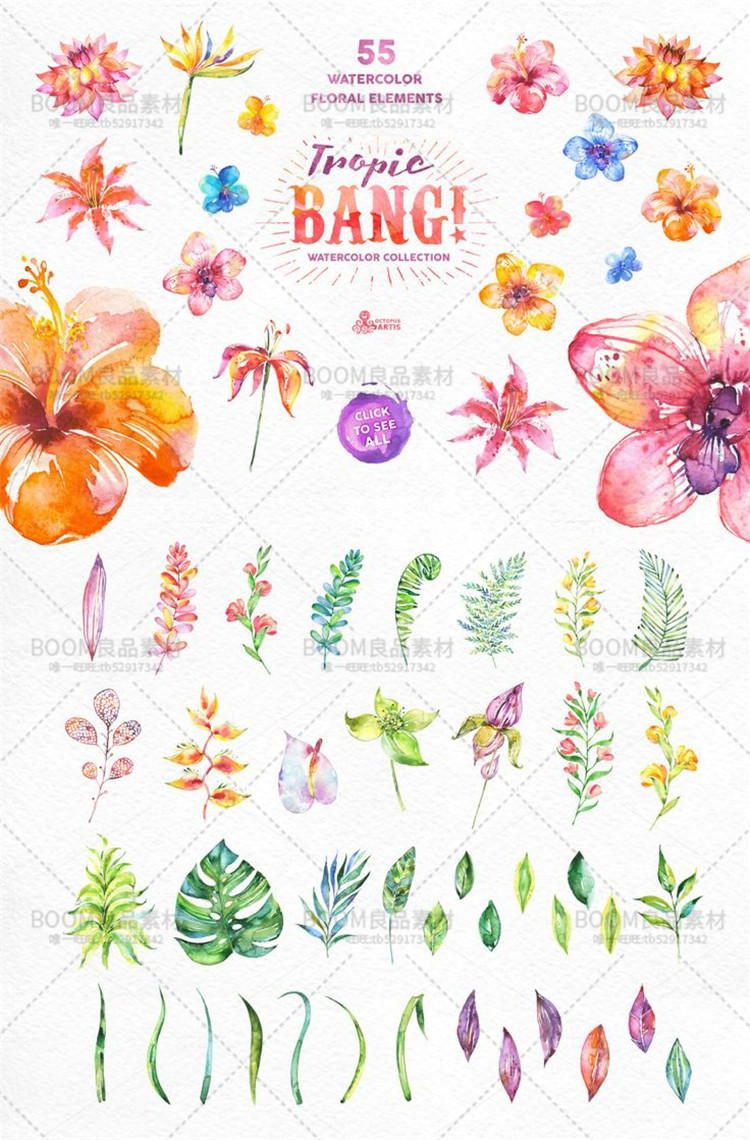 图片[2]-手绘水彩花朵热带蕨类植物花束花环绿叶贺卡海报免抠PNG设计素材-设计猿