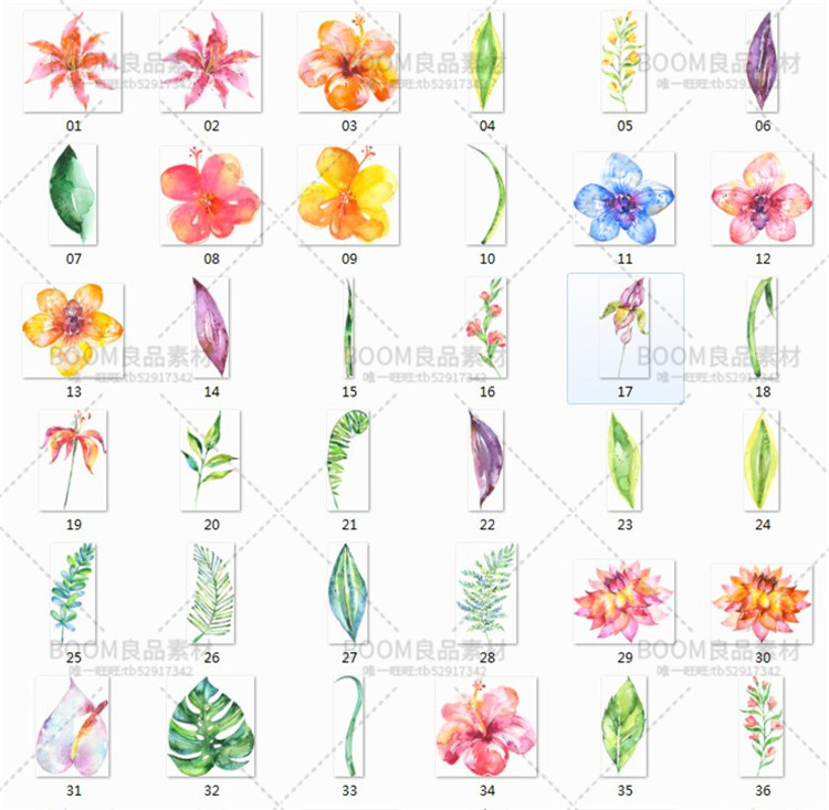 图片[3]-手绘水彩花朵热带蕨类植物花束花环绿叶贺卡海报免抠PNG设计素材-设计猿