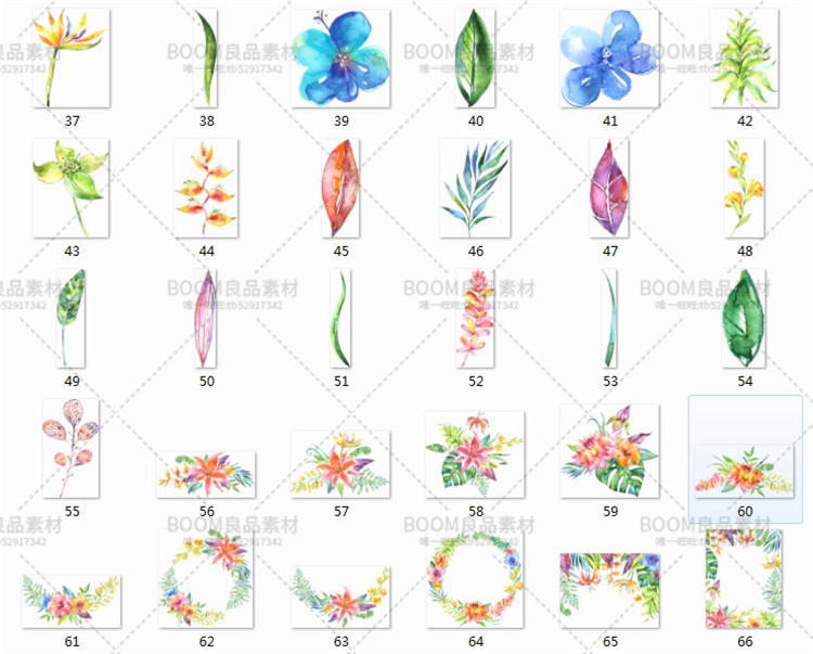 图片[4]-手绘水彩花朵热带蕨类植物花束花环绿叶贺卡海报免抠PNG设计素材-设计猿