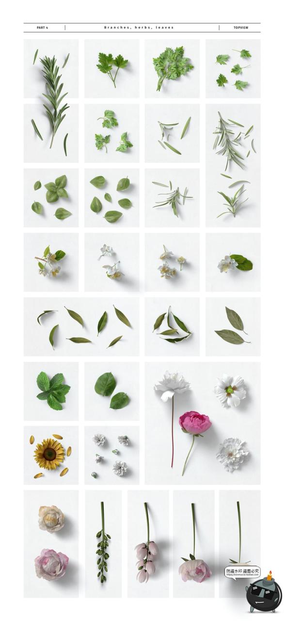 图片[16]-侘寂食品专题轻奢美食香料产品包装食材餐饮食材PSD模板PS素材-设计猿