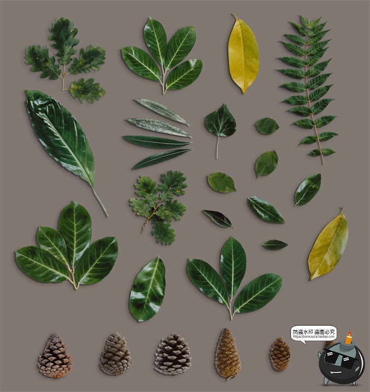 图片[5]-木制餐具厨具植物食物蔬菜锅碗刀叉场景PSD模板装饰元素PS素材-设计猿