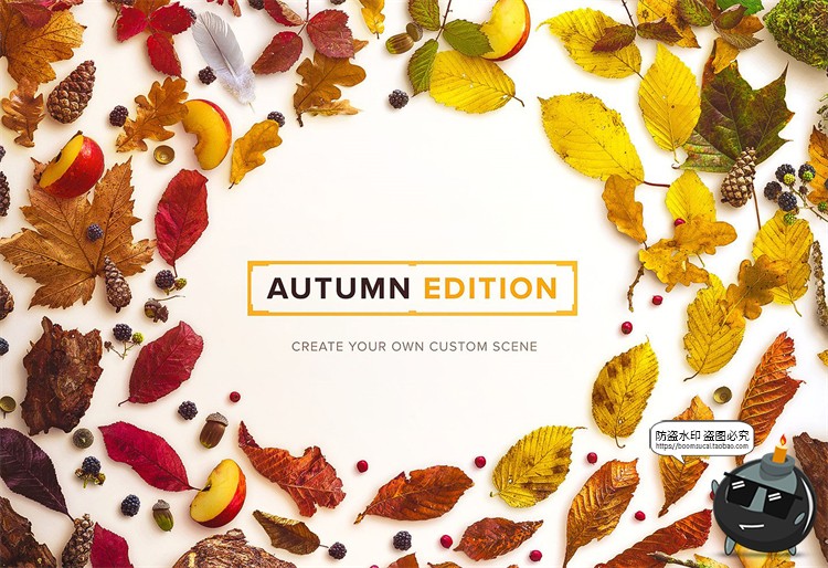 图片[1]-秋季专题落叶植物树叶树枝枯木松果秋天背景PNG元素PSD分层PS素材-设计猿