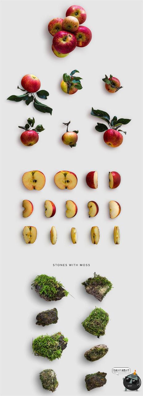 图片[8]-秋季专题落叶植物树叶树枝枯木松果秋天背景PNG元素PSD分层PS素材-设计猿