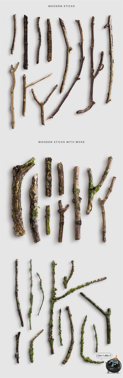 图片[10]-秋季专题落叶植物树叶树枝枯木松果秋天背景PNG元素PSD分层PS素材-设计猿