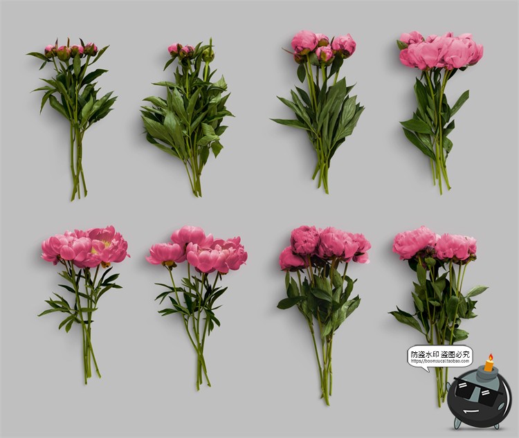 图片[3]-鲜花专题牡丹花卉芍药花艺花店植物花瓣PNG免抠源文件PSD模板素材-设计猿